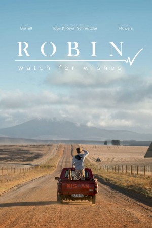 秘密清单 Robin – Watch for Wishes (2018) 1080P