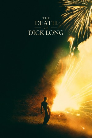 迪克·朗之死 The Death of Dick Long (2019) 1080P