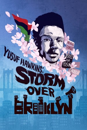 布鲁克林风暴 Yusuf Hawkins: Storm Over Brooklyn (2020)