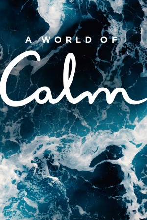 宁静的世界 A World of Calm (2020) 中文字幕