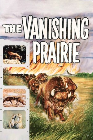 原野奇观 The Vanishing Prairie (1954) 中文字幕