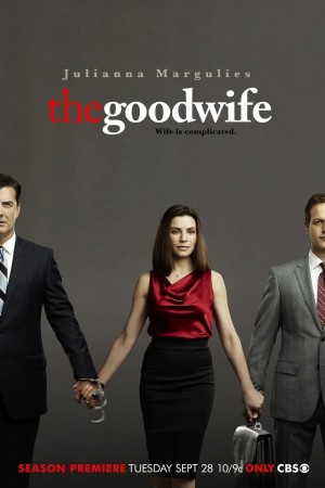 傲骨贤妻 第二季 The Good Wife Season 2 (2010) 中文字幕