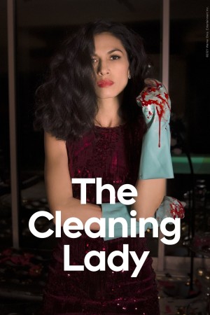 清洁工 The Cleaning Lady (2022)