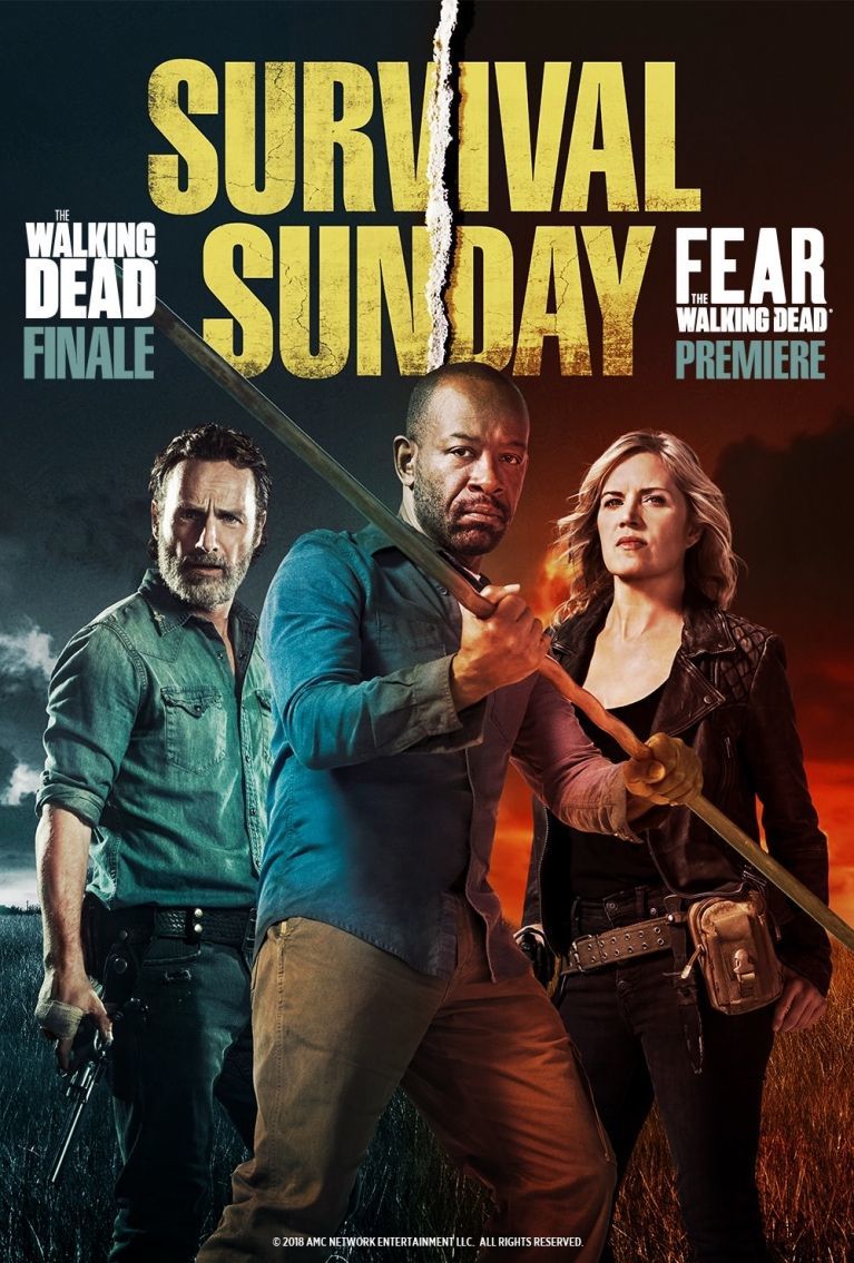 The Walking Dead S04 Season 4 COMPLETE 1080p BluRay X264ROVERSTh